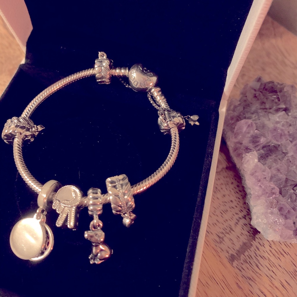 Yoga & Dog Lovers Pandora Bracelet NEVER WORN